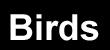 Birds banner