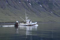 Fishing boat near Súðavík